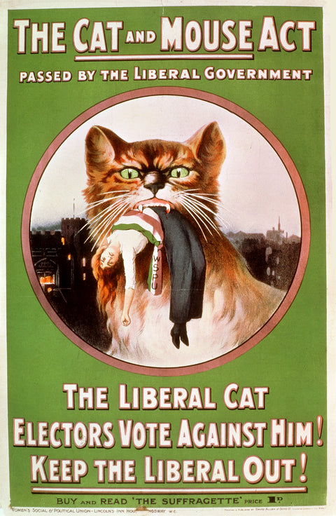The Cat and Mouse Act poster 1914