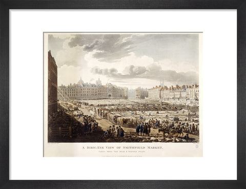 A Bird's Eye View of Smithfield Market 1811