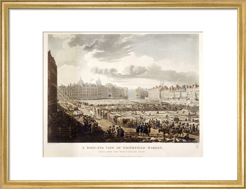A Bird's Eye View of Smithfield Market 1811