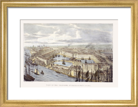 View of the proposed St. Katharine's Docks 19th century