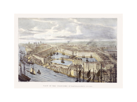 View of the proposed St. Katharine's Docks 19th century