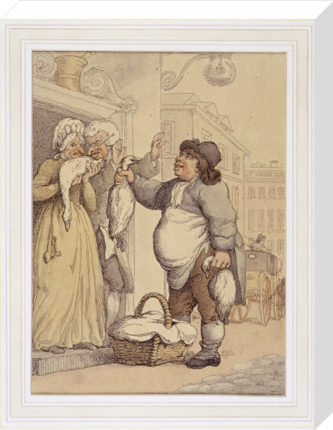 Buy my goose my fat goose 1799