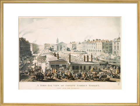 A Bird's Eye View of Covent Garden Market Taken from the Hummums 1811
