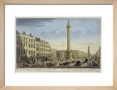 The Monument of London in Rememberance of Dreadfull Fire in 1666 1752
