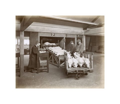 Refrigerated New Zealand lamb Royal Victoria Dock c. 1920