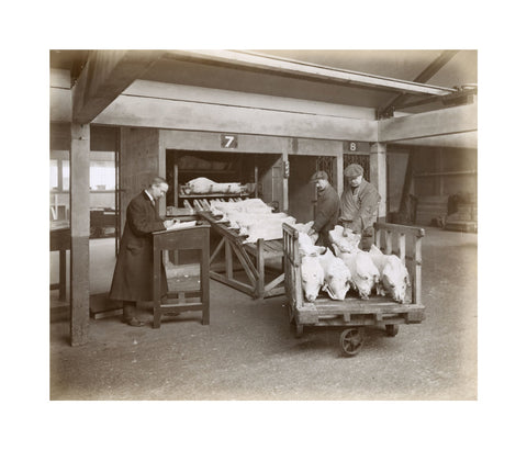 Refrigerated New Zealand lamb Royal Victoria Dock c. 1920