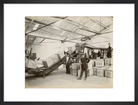 Tea on a conveyor system Tilbury Docks c. 1920