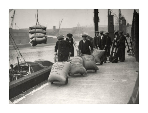 Dockers at West Dock London Dock 1920