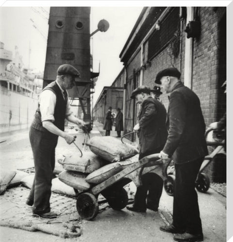 London dockers 1950