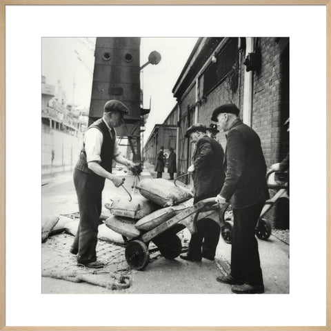 London dockers 1950