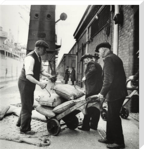 London dockers 1950