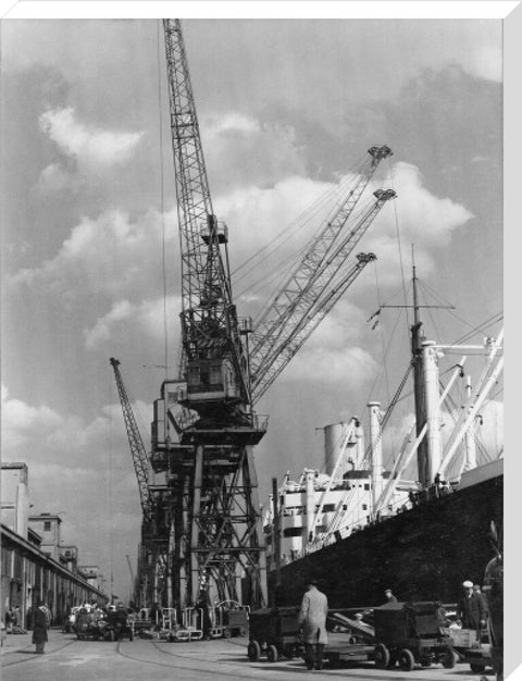 Discharging cargo Royal Albert Dock 20th Century