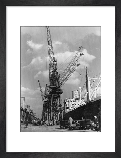 Discharging cargo Royal Albert Dock 20th Century
