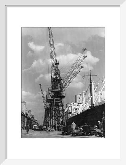 Discharging cargo Royal Albert Dock 20th Century