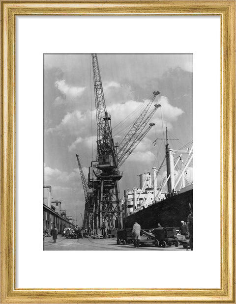 Discharging cargo Royal Albert Dock 20th Century