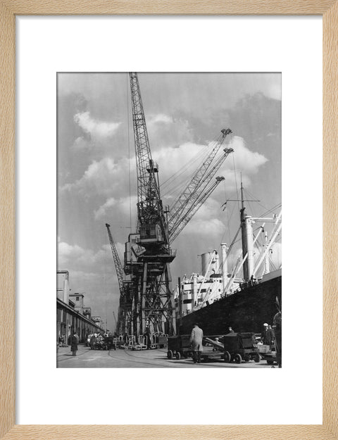 Discharging cargo Royal Albert Dock 20th Century