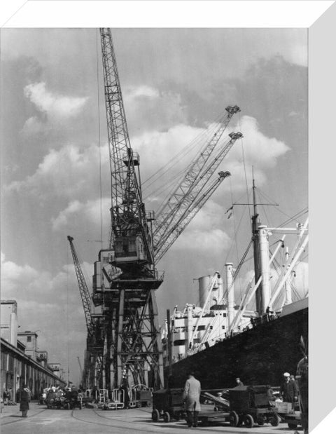 Discharging cargo Royal Albert Dock 20th Century