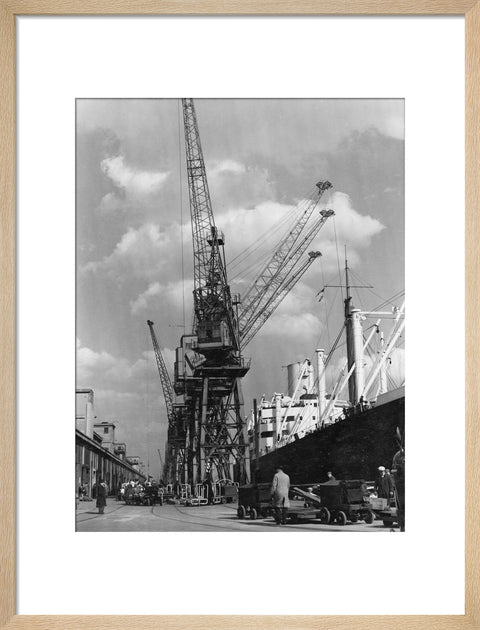 Discharging cargo Royal Albert Dock 20th Century
