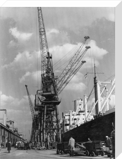 Discharging cargo Royal Albert Dock 20th Century