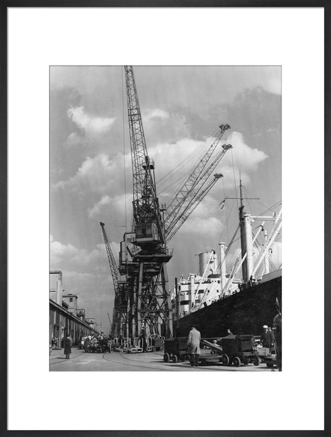 Discharging cargo Royal Albert Dock 20th Century