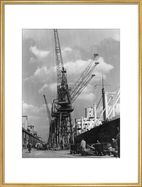 Discharging cargo Royal Albert Dock 20th Century