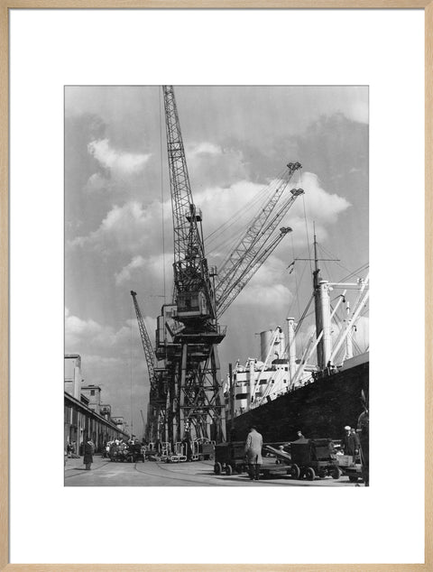 Discharging cargo Royal Albert Dock 20th Century
