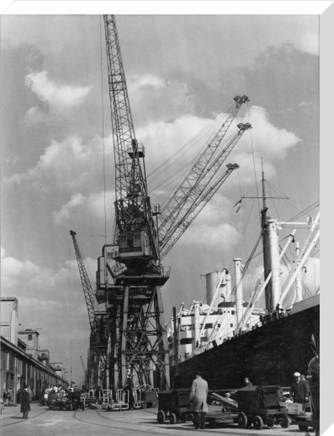 Discharging cargo Royal Albert Dock 20th Century