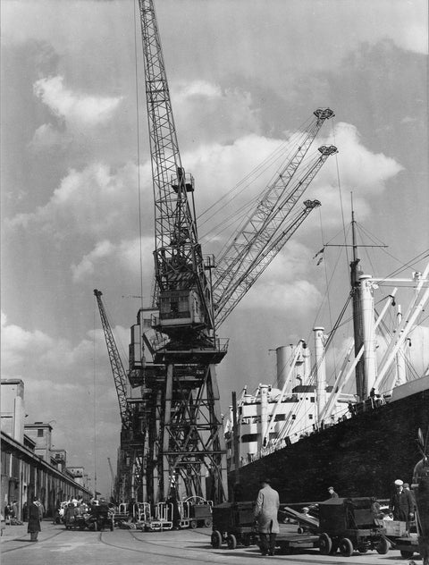 Discharging cargo Royal Albert Dock 20th Century