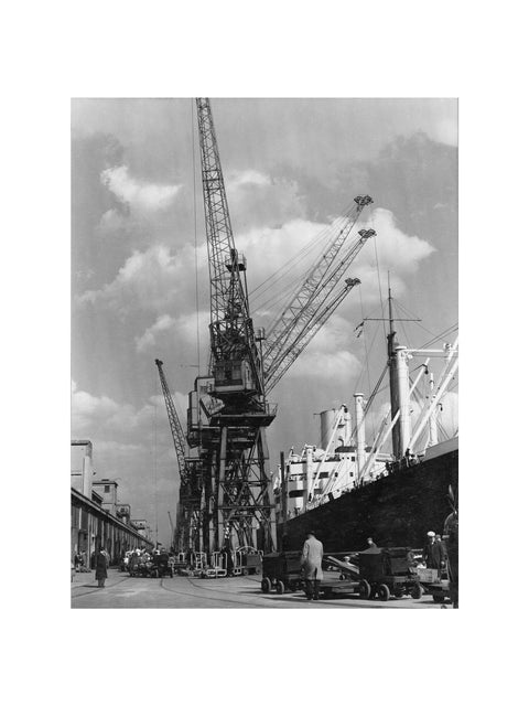 Discharging cargo Royal Albert Dock 20th Century