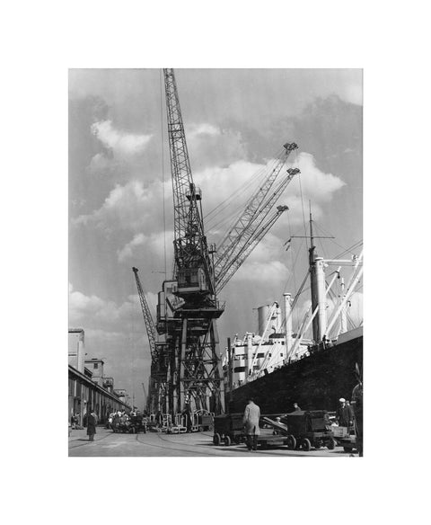 Discharging cargo Royal Albert Dock 20th Century