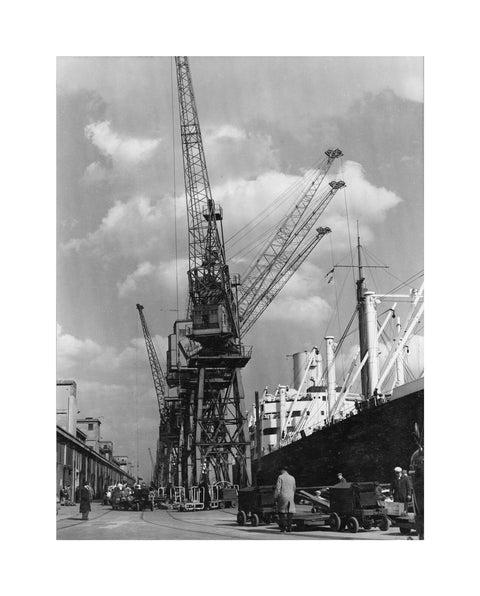 Discharging cargo Royal Albert Dock 20th Century