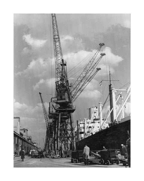 Discharging cargo Royal Albert Dock 20th Century