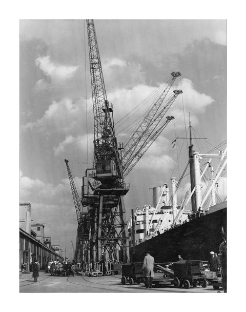 Discharging cargo Royal Albert Dock 20th Century