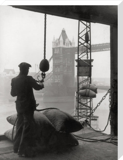 Pool of London Dockworker handling a cargo of bagged nuts 1947