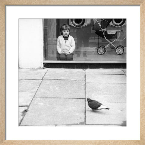 Boy watching a pigeon in Boreham Wood c.1965