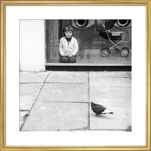 Boy watching a pigeon in Boreham Wood c.1965