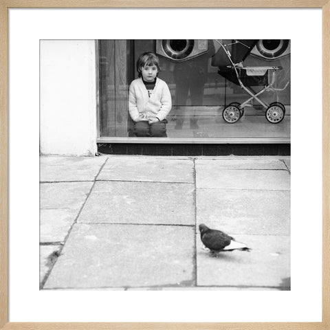 Boy watching a pigeon in Boreham Wood c.1965