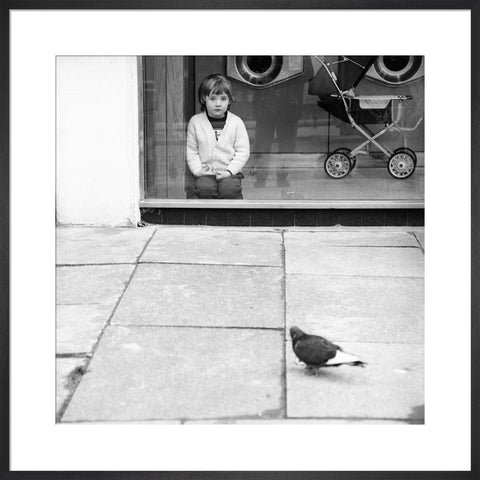 Boy watching a pigeon in Boreham Wood c.1965