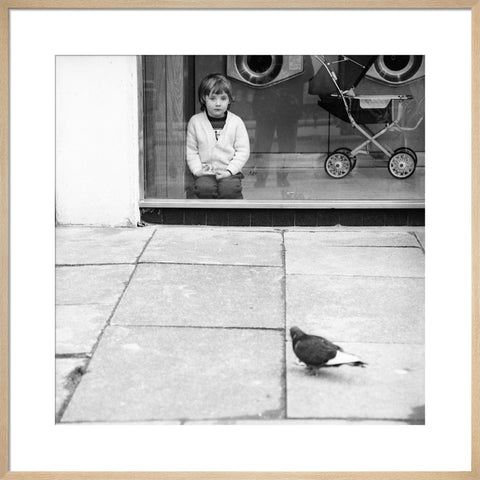 Boy watching a pigeon in Boreham Wood c.1965