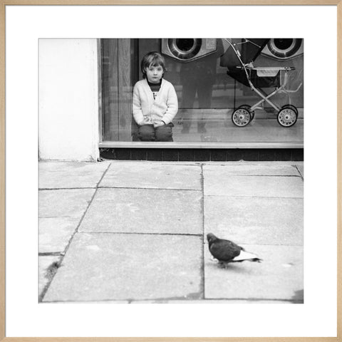 Boy watching a pigeon in Boreham Wood c.1965