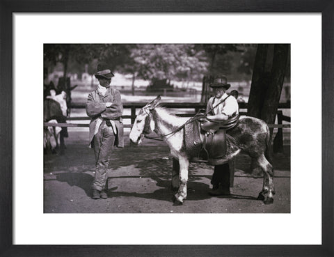 A donkey for hire on Clapham Common c.1877