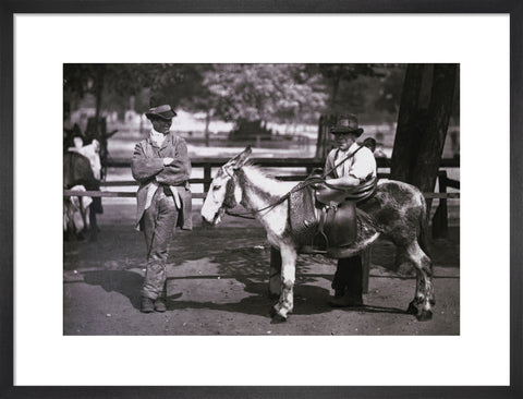 A donkey for hire on Clapham Common c.1877