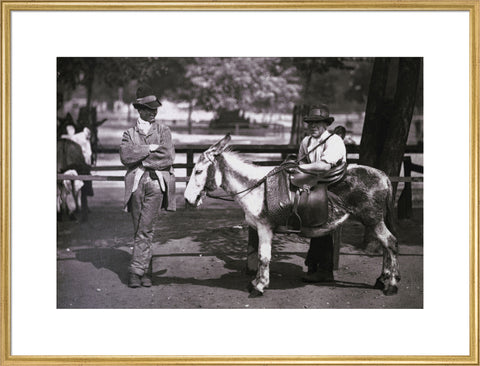 A donkey for hire on Clapham Common c.1877