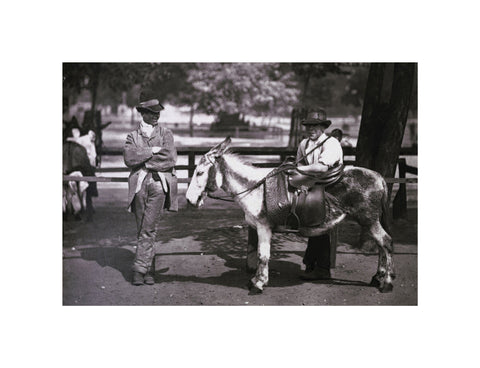 A donkey for hire on Clapham Common c.1877