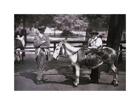 A donkey for hire on Clapham Common c.1877