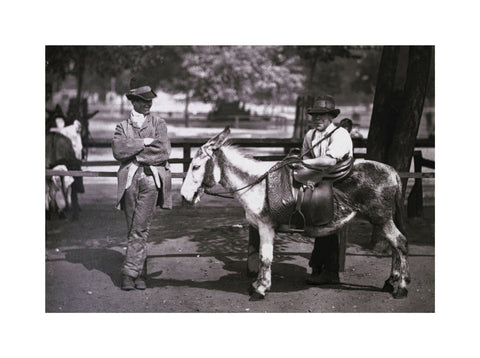 A donkey for hire on Clapham Common c.1877