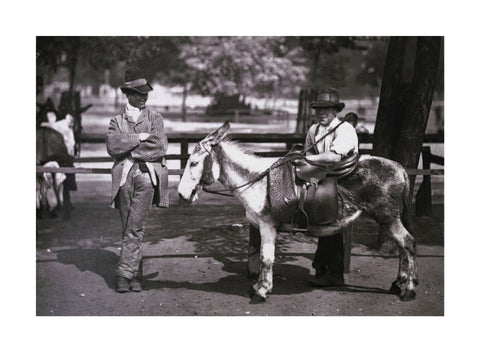 A donkey for hire on Clapham Common c.1877