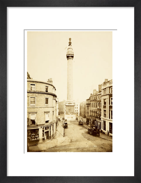 The Monument to the Great Fire of London c.1890