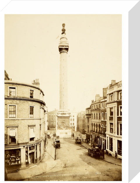 The Monument to the Great Fire of London c.1890
