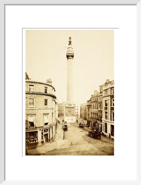 The Monument to the Great Fire of London c.1890